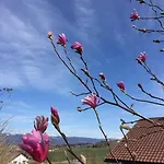 Anita Апартаменты Jandelsbrunn