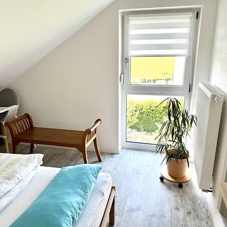 Anita *